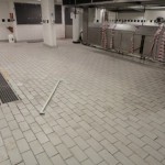 Existing floor prior to RX - Foodsafe treatment