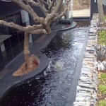 3-KoiPondHousePretoria