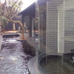 5-KoiPondHousePretoria