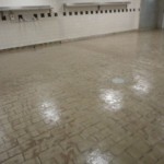 Primed Area
