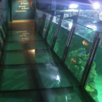Aquatopia-05