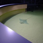 Aquatopia-08