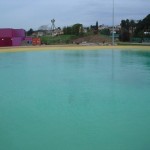 Dolphin-34