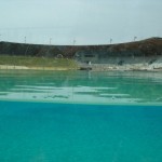 Dolphin-39
