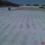 robex_game_mokopane_preperation