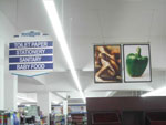 intextpic3