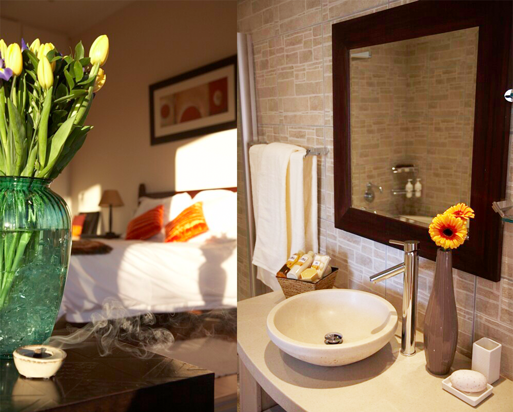 B&B-(1)