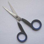 FIN EMBR SCISSORS