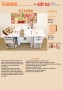 LEAFLET GEMINI