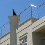 Roof Mount Cable System