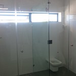 Frameless Glass Showers