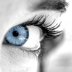 Cosmentics For Eyes