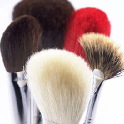 Brushes/Accessories