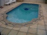 IMG-20121203-00008