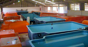 Family Pools 2