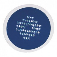 LED GLOBE