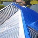 Roof Spray
