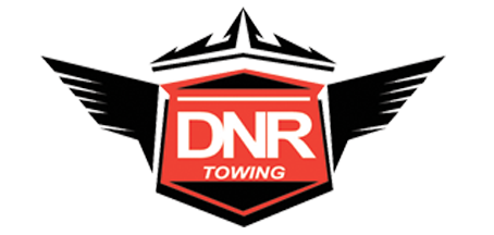 Logo DNR