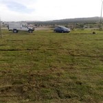 Lay a lawn grass