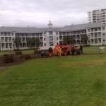 Instant Lawn Services