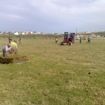 Lawn Projects