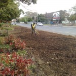 Lay A Lawn Services