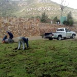 Lawn Services