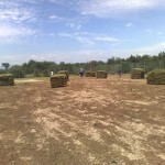 Lay a lawn grass