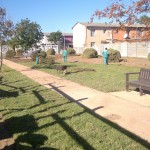 Lawn Services