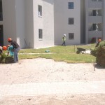 Lawn Projects