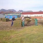 Lay A Lawn Projects