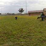 Lay a lawn grass