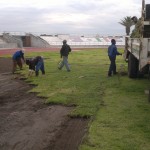 Lawn Projects