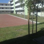 Completed Projects