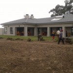 Lay A Lawn Projects