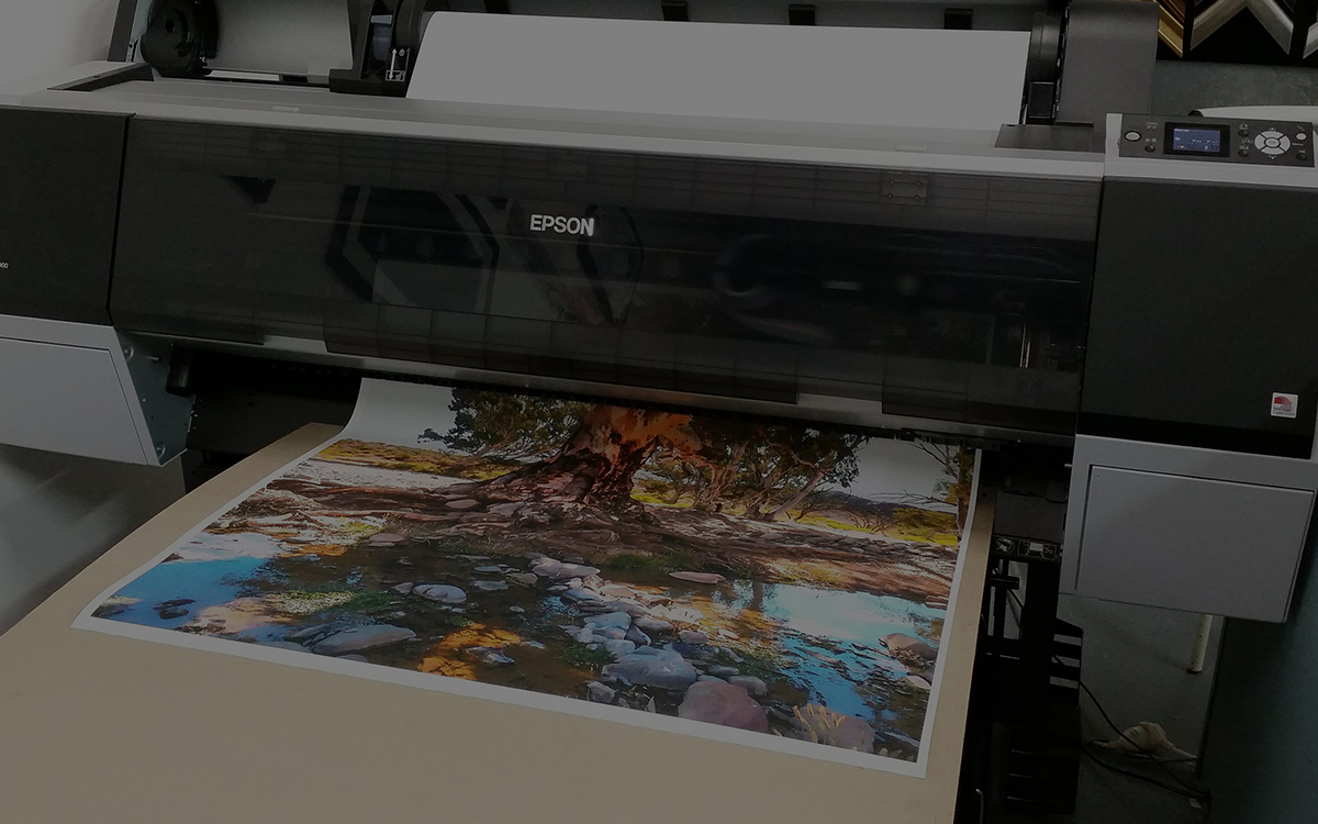 epson-printer-canvas2