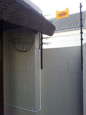 pic1